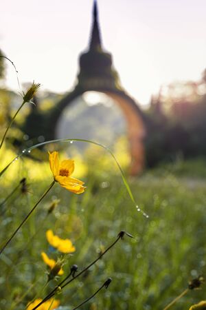 Flowers at the entrance of the temple gate. Khao Na Nai Luang Tham Park. Pagoda at sunrise on the top at Khao Na Nai Luang Dharma Park. Beautiful Temple at Surat Thani province, Thailand.の写真素材