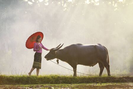 Asian women wearing Thai traditional dress and buffalo. Beautiful woman Thai traditional culture with buffalo,Thailand の写真素材