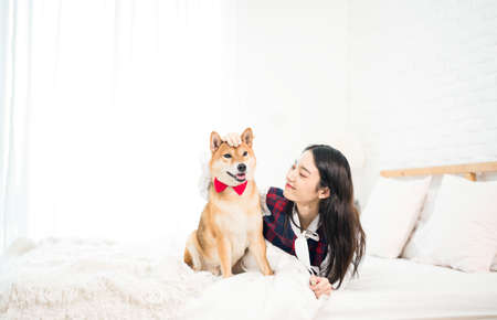 A girl is sleeping with a Shiba Inu dog on a bed in a white Japanese-style bedroom.の写真素材