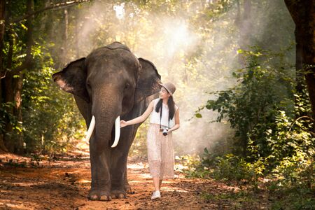 Tourists are enjoying with the wild elephants in the forest. Tourism Asian women holding camera in...
