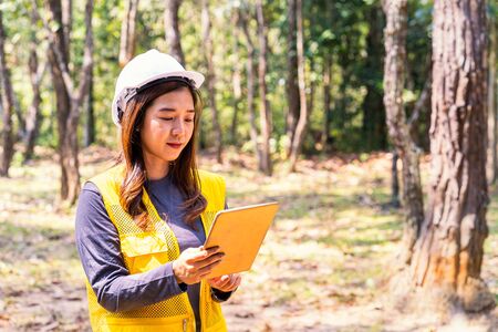 The supervisors are constructing roads in the forest. Young Engineer female holding tablet on hand. Engineer team working on project at the forest. Technical operaters and Labourers.の写真素材