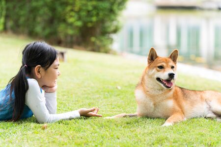 Pet lover An Asian girl is playing with a Shiba Inu dog in the park in the spring.の写真素材