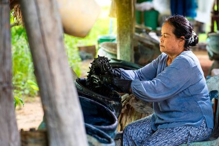 Craftsmen with indigo in the jar Indigo is used for dyeing cotton in natural colors.の写真素材