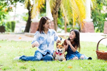 Pet lover. The daughter thanked the mother and the gift was a Shiba Inu dog. An Asian family plays with a Shiba Inu dog.の写真素材