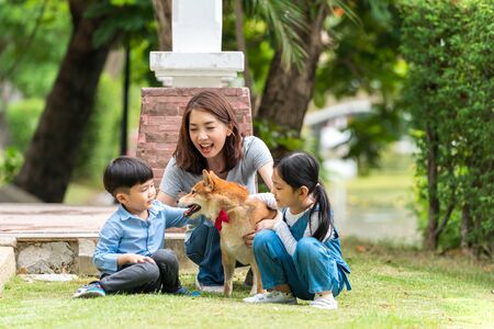 A family playing with Shiba Inu dogs In the park.の写真素材