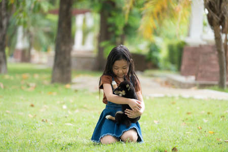 An Asian girl is playing with a dog in the park. Girl and Shiba inu dog.の写真素材