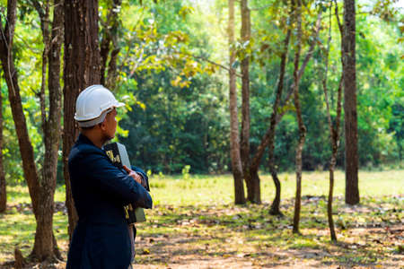 Businessmen or investors planning to cut forests to build tourist attractions.の写真素材
