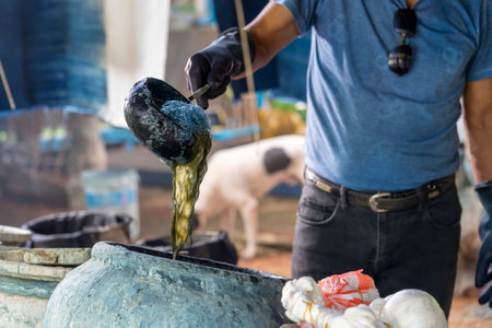 Craftsmen of Thai indigo cotton. An elderly woman is examining the thread made of cotton. Local Master are the original Indigo Cotton Weaving in the community of Sakon Nakhon province.の写真素材