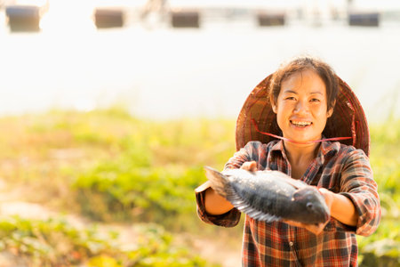 Woman show off a big tilapia raised in floating baskets on the Mekong River. Fisherman in Thailand....