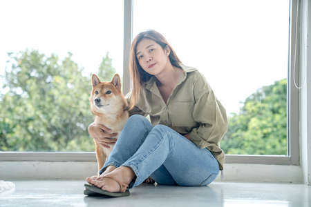 A young woman playing with Shiba Inu by the window in the bedroom. Japanese Shiba Inu dog breedの写真素材