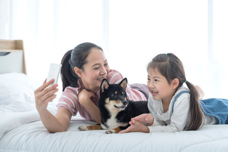 A mom and daughter take a selfie  with a Shiba Inu dog on the bed. Japanese dog.の写真素材