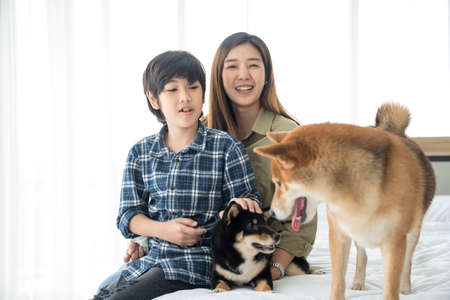 Sister and brother are playing with the Shiba Inu dog in the bedroom.の写真素材