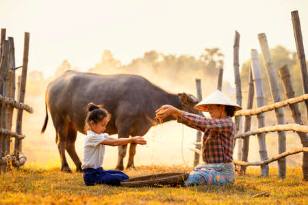 Rural life style concept. The daughter and mother working.の写真素材