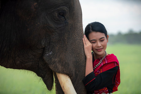 Asian woman and big elephant in the Forest. Elephant with beautiful girl in asian countryside, Surin, Thailand.の写真素材