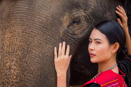 The Big elephant and Asian woman in the Forest. Elephant with beautiful girl in asian countryside, Surin, Thailand.の写真素材