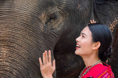 Young Asian woman laughing happily at an elephant.の写真素材