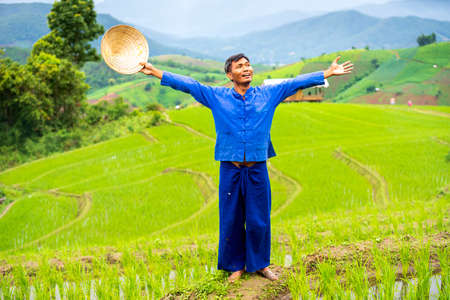 Farmers are happy in the rice fields. Farmers farming on rice terraces. Ban Pa Bong Piang, Thailand.の写真素材