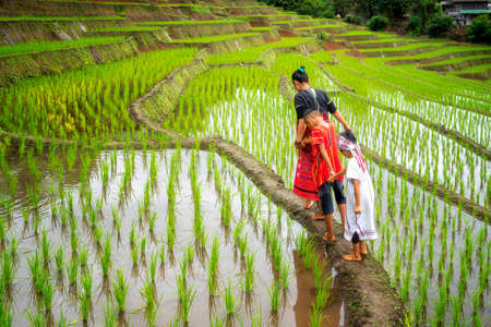 Hilltribe children are walking in the beautiful rice fields. Ban Pa Bong Piang That has the most beautiful rice terraces in Thailand.の写真素材