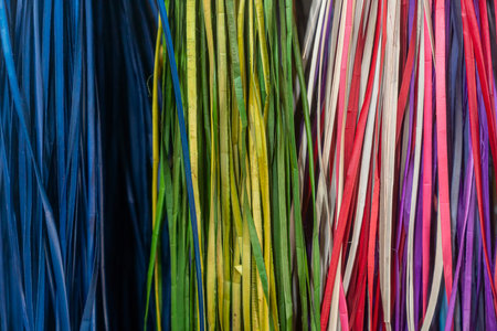 Toei Panan, leaves used to weave utensils such as bags, baskets of Trang Province Southern Thailand.