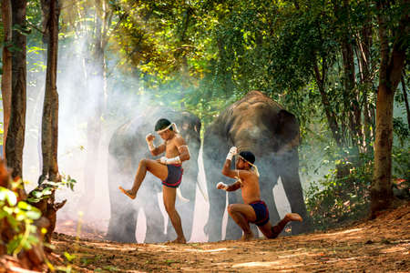 Wai Kru Muay Thai performance. Boxing music. Boxing Fighting with Big elephants is the background.の写真素材