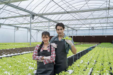 Male and female farmers in modern hydroponic vegetable fields. Farmers are showing off their produce...