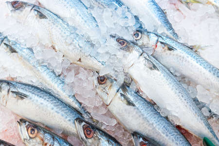Food backgrounds. Fresh mackerel on. Scombridae Saba fish.の写真素材
