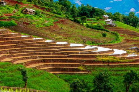 Farming on rice terraces. Ban Pa Bong Piang Northern region in Mae Chaem District Chiangmai Province That has the most beautiful rice terraces in Thailand.の写真素材