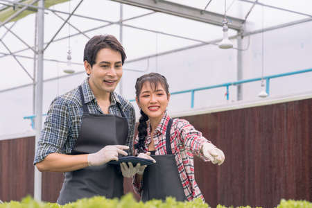 Women and men using a tablet in a hydroponic vegetable farm takes pride in the work.の写真素材