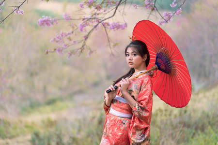 Japanese women wearing red kimonos and holding a yellow umbrella standing under a cherry blossom tree.の写真素材