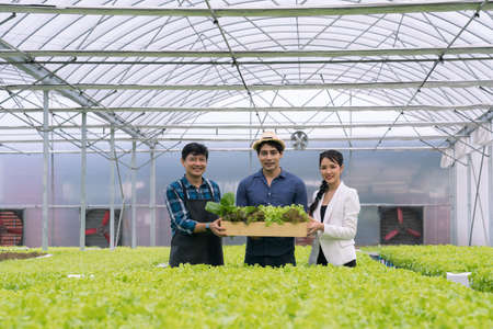 Group asian business farmer man and woman in greenhouse hydroponic organic farm. Group of people in...