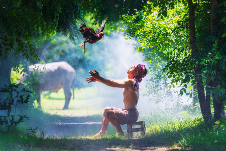 Farmers raising chickens. fighting cock, local culture in Thailand. Man cleaning Thai fighting cock.の写真素材