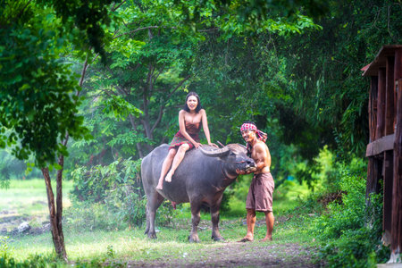 A farmer family is raising buffalo. Young people and buffalo.の写真素材