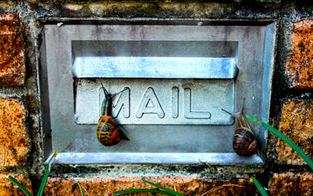 Snail Mailの写真素材
