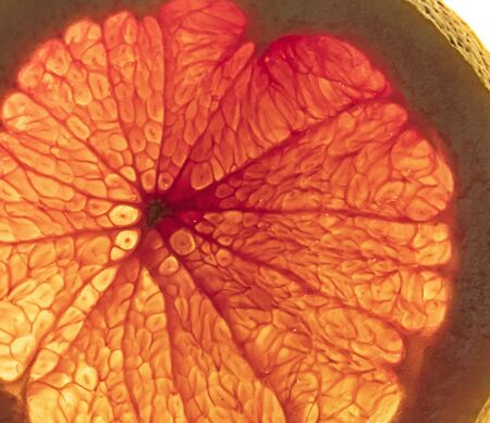 Blood orange macroの写真素材