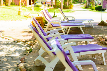 Line of purple beach chairs for who wants to lay down during a hot summer to get tanned, or get rested.の写真素材