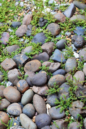 Stones in the grass