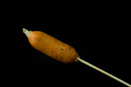 Sausage skewers, hot vapor smoke.の写真素材