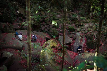Loei / Thailand - Dec 2016:Maple Leaf fell on rocks on the Phu Kradueng National Park, Loei,Thailand...