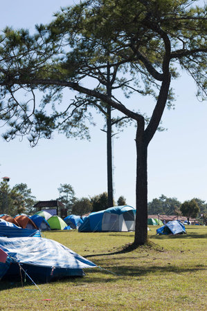 Camping in Forest Loei, Thailand.の写真素材