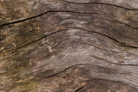 old age sliced wooden surface textureの写真素材