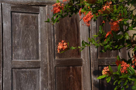 Wooden teak door frame.の写真素材