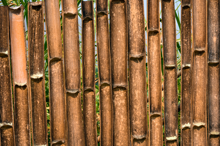 Fence made of bamboo tube split in halfの写真素材