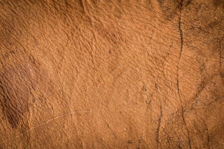 Brown leather texture.Leather texture background from male jacket.の写真素材