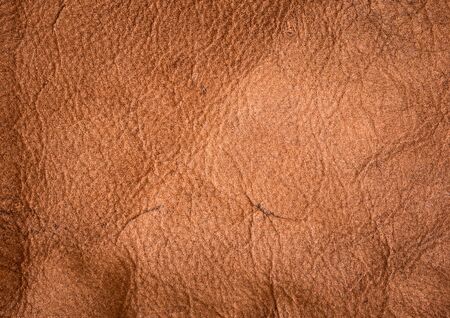 Brown leather texture.Leather texture background from male jacket.