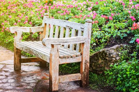 Vintage bench in English style botanic garden.Touch of morning light in flowers garden.の写真素材