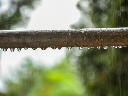 Raindrops on the metal pipe about to fall to ground with rain shower and trees in background. Macro shot of raindrops on the round bar.の写真素材