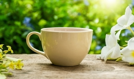 White cup of hot tea on wooden boardの写真素材