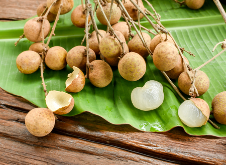 Bunch of fresh longan, sweet tasty fruit from Thailand placed on green banana leaf background.の写真素材