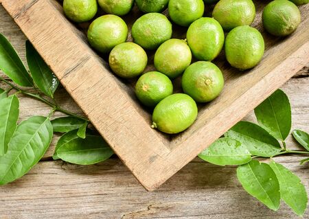 Fresh green lime on wooden tray with lemon tree leaves on the background.の写真素材