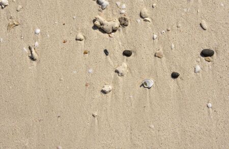 Sand island beach background. Coral fragments, gravel,shells on fine sand beach.